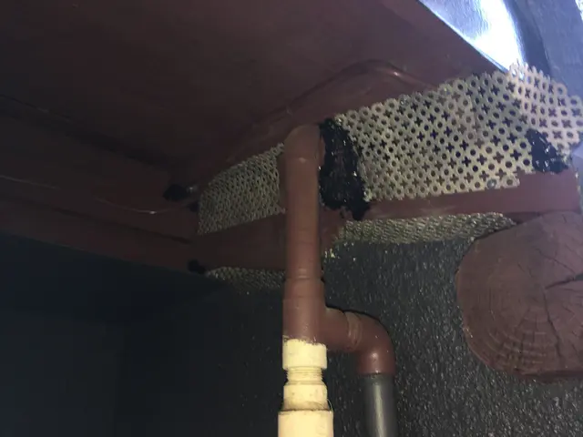 ◆千葉県専門◆当日対応可能◆ハクビシン、アライグマ駆除◆見積もり無料◆サービスの画像