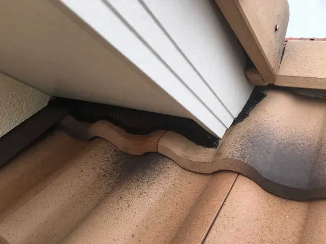 ◆千葉県専門◆当日対応可能◆ハクビシン、アライグマ駆除◆見積もり無料◆サービスの画像