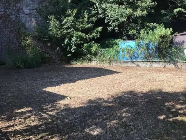 お庭やお家の周りの草刈り作業の事なら何でもお任せ！！サービスの画像