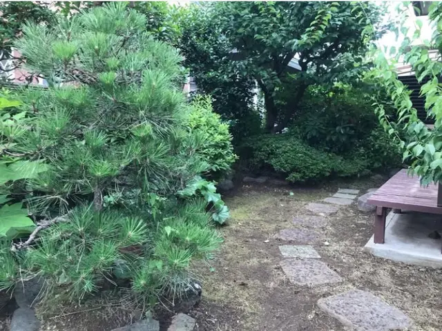 お庭やお家の周りの草刈り作業の事なら何でもお任せ！！サービスの画像