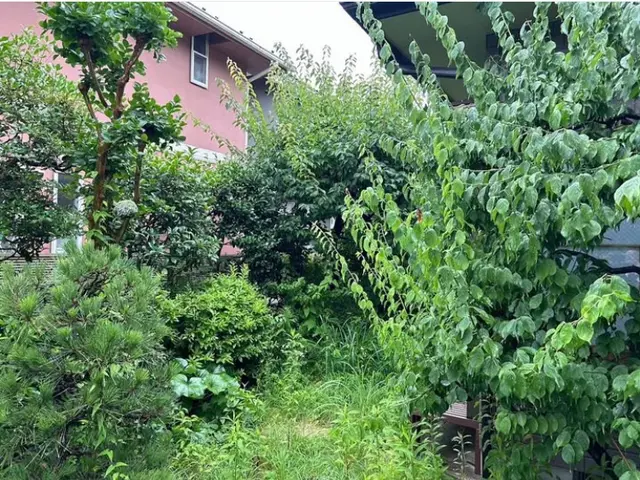 お庭やお家の周りの草刈り作業の事なら何でもお任せ！！サービスの画像