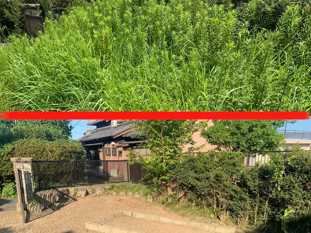 《三重が地元の若い僕達》詳細はここをクリック★ご依頼多数★ご予約はお早めに！サービスの画像