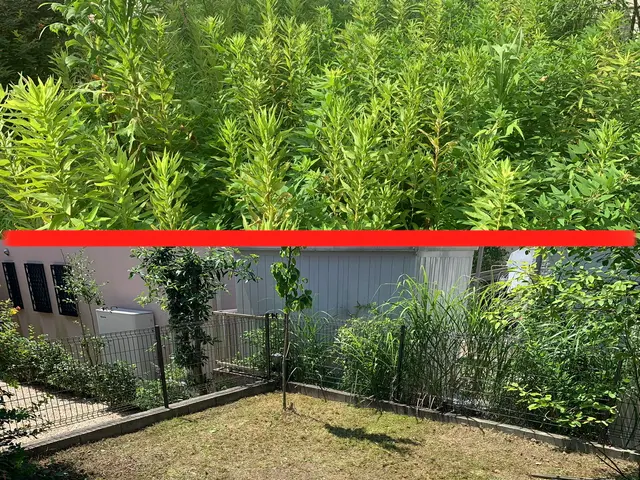 《三重が地元の若い僕達》詳細はここをクリック★ご依頼多数★ご予約はお早めに！サービスの画像