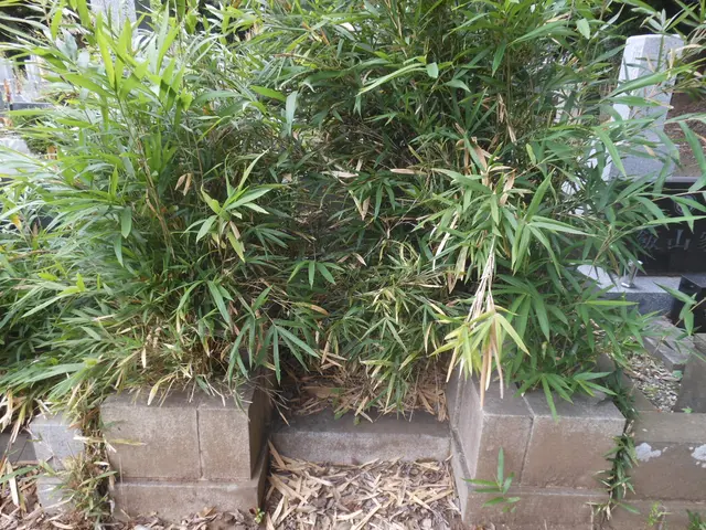 その道のプロ、石材店がお墓参り代行いたします。現状墓石の耐震診断無料報告付き。サービスの画像