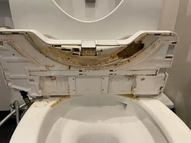 【安心の株式会社】汚れが強い病院カラオケ施設等の定期トイレ清掃実績があります☆サービスの画像