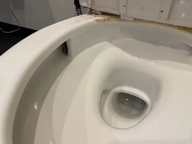 【安心の株式会社】汚れが強い病院カラオケ施設等の定期トイレ清掃実績があります☆サービスの画像