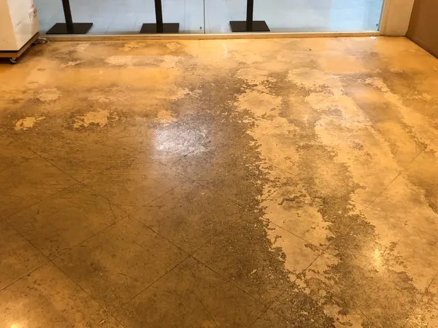 フロアクリーニング洗浄、WAX塗布サービスの画像