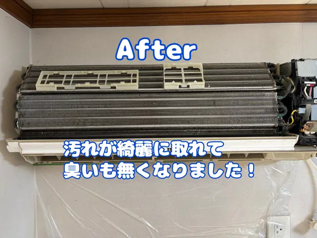 防カビ抗菌コート標準施工★★空きがあれば当日の作業も対応可能★洗濯機同時施工可★サービスの画像