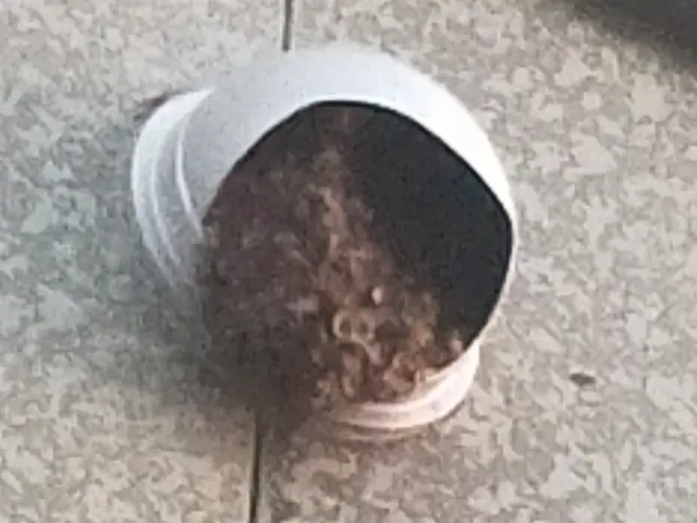 9月限定、現地での追加料金なし！戻りバチ対策もバッチリです！サービスの画像