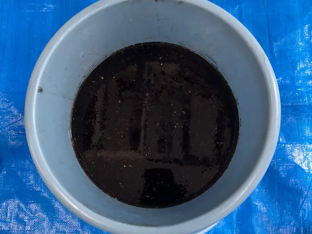 ☆大手企業マネージャー経験有☆誠実な対応を心掛けています！サービスの画像