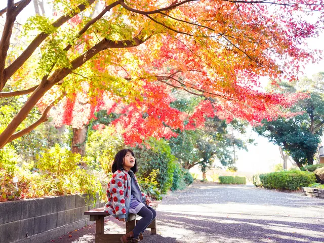 女性カメラマン！ママカメラマンがご家族の記念日の同行撮影します