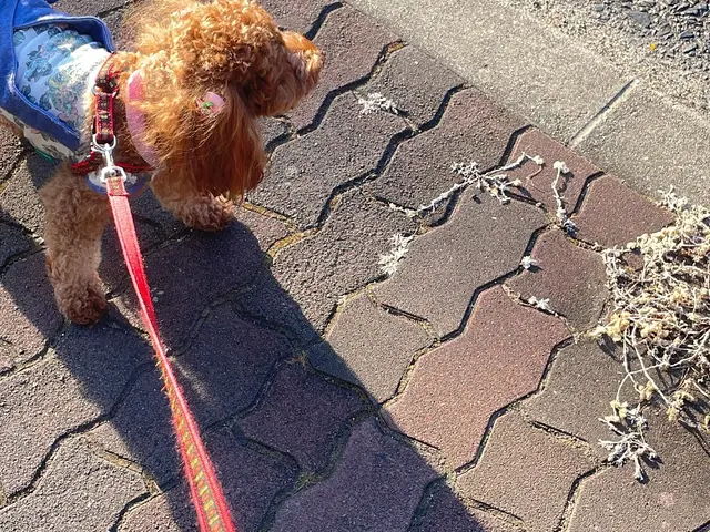 有資格者在籍中◆豊富な経験と知識で安心！何でも当店へお任せください！サービスの画像