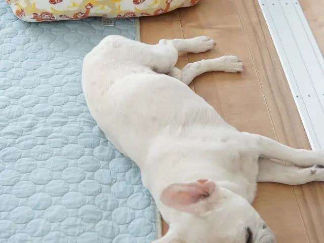 有資格者在籍中◆豊富な経験と知識で安心！何でも当店へお任せください！サービスの画像