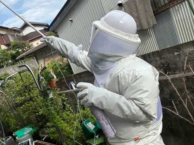 安心と信頼の蜂の巣駆除！年間300件以上の実績で、お客様の安全を守ります。サービスの画像