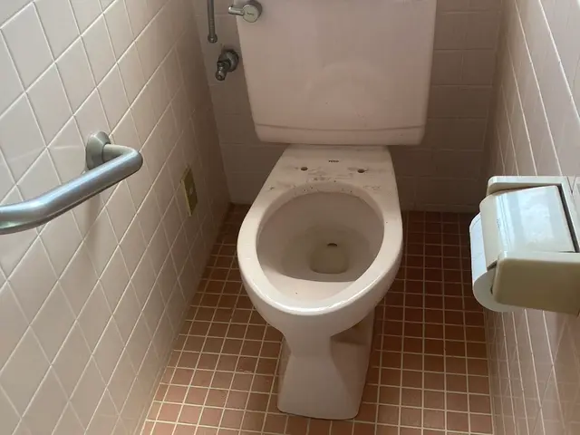 ☆ウォシュレット交換☆処分もコミコミ価格サービスの画像