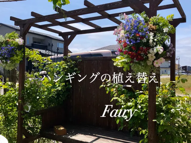 鉢の植え替え、寄せ植え作成などサービスの画像