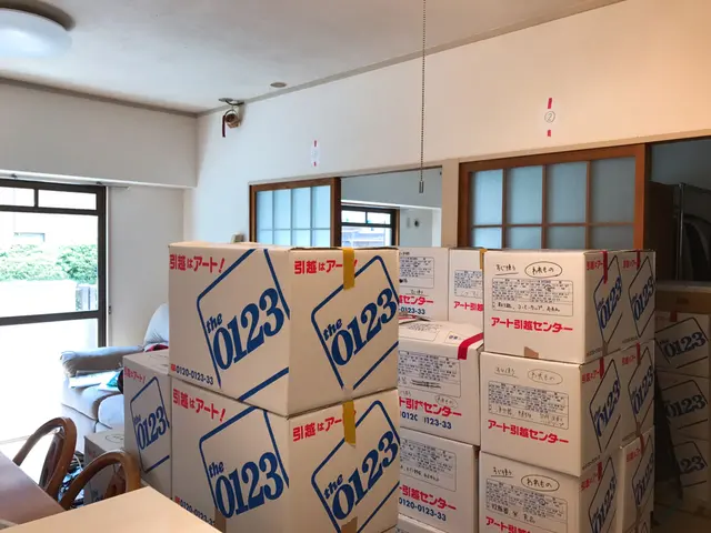 引っ越し経験13回☆片付け・模様替えをサポート。家具配置・収納アドバイス付き♪サービスの画像