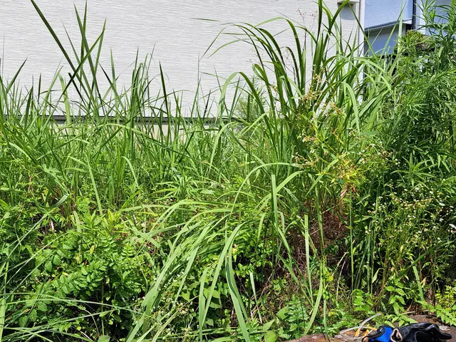 風と緑に命を宿す庭造り！当店は主の大切なお庭を良き心の郷里にと心掛けています。サービスの画像