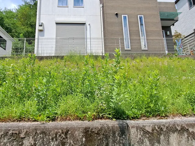 風と緑に命を宿す庭造り！当店は主の大切なお庭を良き心の郷里にと心掛けています。サービスの画像