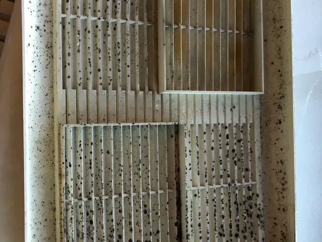 ☆水垢・カビ徹底除去！カード可！損保加入店☆サービスの画像