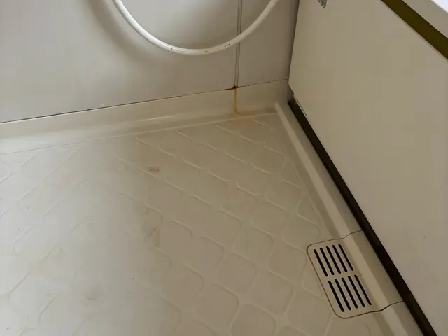 ★千葉、茨城、地域密着店★非喫煙者★損害保険加入店★インボイス登録店サービスの画像