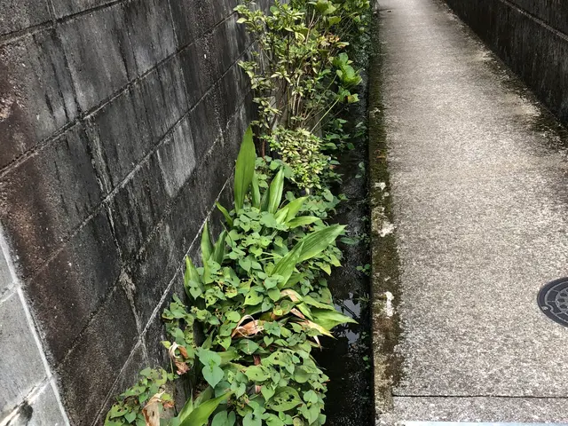 お客様のお力になります！経験と知識を活かして迅速丁寧に作業いたします！サービスの画像