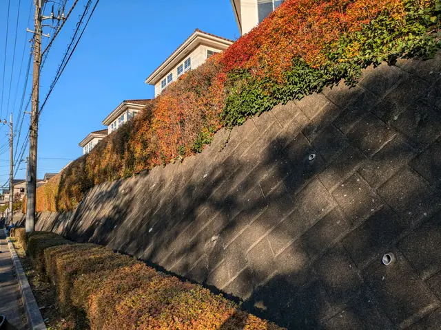 【業界歴26年】女性スタッフ同行可能!お気軽にご相談くださいサービスの画像