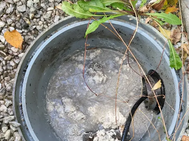 業界歴10〜30年の5人チームが対応！年間100件以上の排水管洗浄サービス！サービスの画像