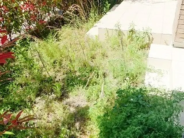 《100%自社対応》業界歴10年◆年間300件以上の安心実績！年中無休営業◎サービスの画像