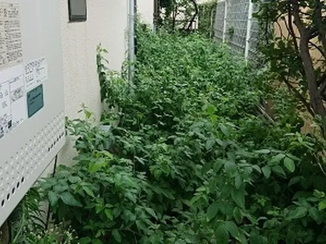 《100%自社対応》業界歴10年◆年間300件以上の安心実績！年中無休営業◎サービスの画像