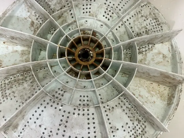 分解して高圧洗浄機でカビ汚れを徹底洗浄！女性ｽﾀｯﾌ同行可なので安心！サービスの画像