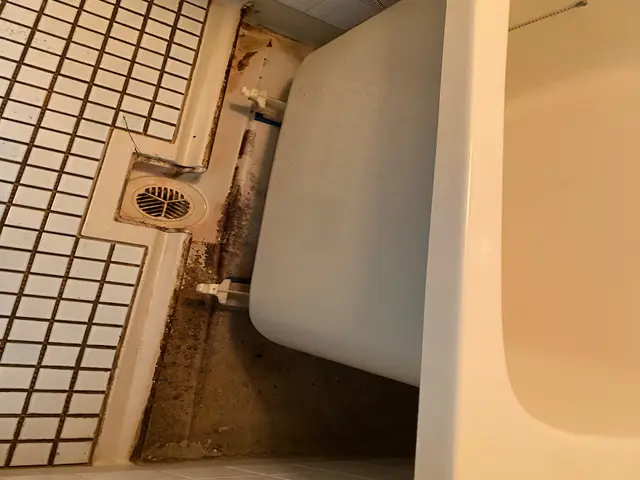 水回り4点セット清掃サービスの画像