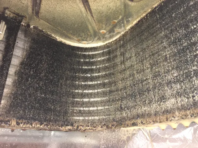 コロナ対策店舗　エアコン内塩素殺菌&消臭除菌でスッキリサービスの画像