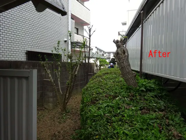 業歴45年以上！丁寧さを大切に、お客様と一緒に庭園作りをしていきます！年中無休サービスの画像