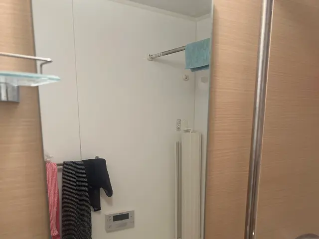 浴室鏡のウロコ・水垢取りサービスの画像