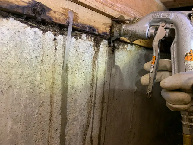 【対応地域外相談OK】しろあり防除施工士の私が完全駆除致します！サービスの画像