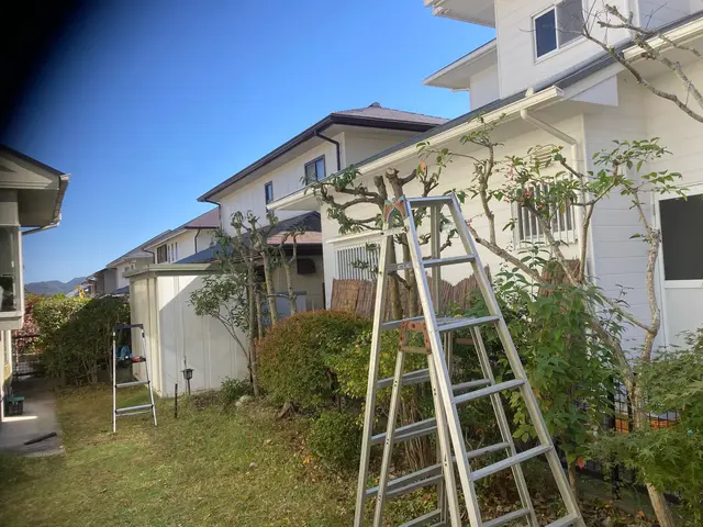 地域密着低価格！庭木の手入れをもっと頼みやすく、リーズナブルに♩お任せくださいサービスの画像