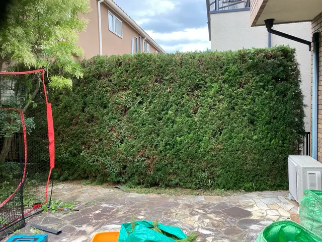 地域密着低価格！庭木の手入れをもっと頼みやすく、リーズナブルに♩お任せくださいサービスの画像