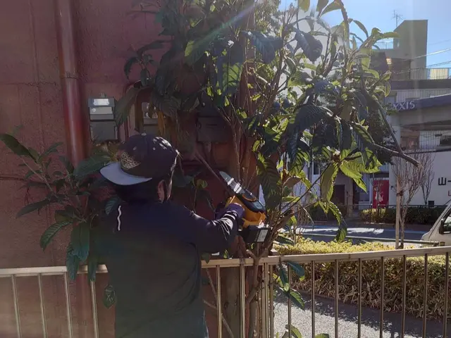 【草むしりと併せてご依頼可能です】高くなって困った木の伐採もご相談ください！！！サービスの画像