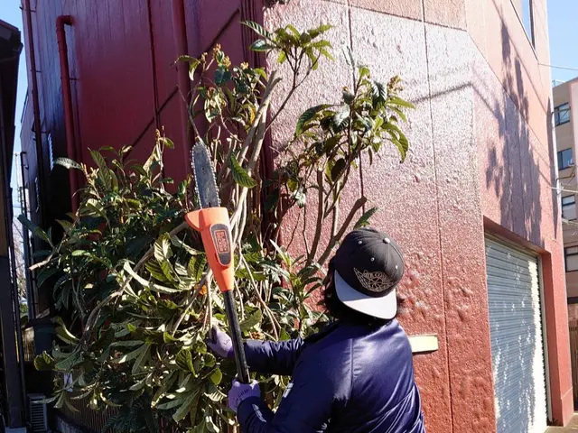 【草むしりと併せてご依頼可能です】高くなって困った木の伐採もご相談ください！！！サービスの画像