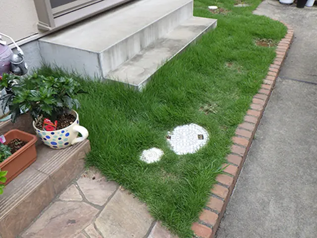 【営業時間外対応可】所有しているお庭の管理お任せください■作業外注一切無し■サービスの画像