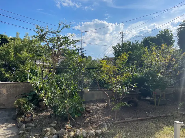 生垣や庭木をスッキリ綺麗に剪定致します！サービスの画像