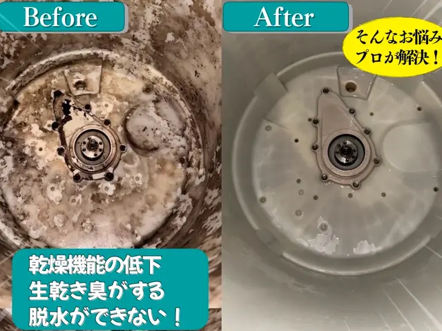 【前日予約受付中！】洗濯槽の取り外しで徹底洗浄いたします！お問い合わせ下さい！サービスの画像