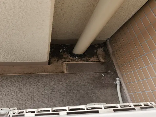 ハウスクリーニング士在籍！女性スタッフと２名でお伺い・実績件数1250以上！サービスの画像