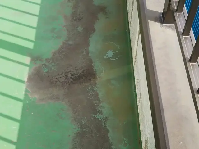 ハウスクリーニング士在籍！女性スタッフと２名でお伺い・実績件数1250以上！サービスの画像