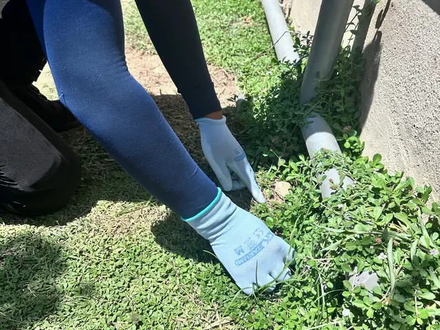 プロの技術でご満足いただけるように心を込めて作業いたしますサービスの画像