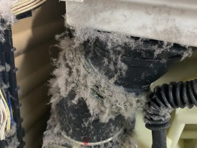 時間外、エリア外対応可能！乾燥機能低下や衣類に埃がつくなど改善できます！サービスの画像