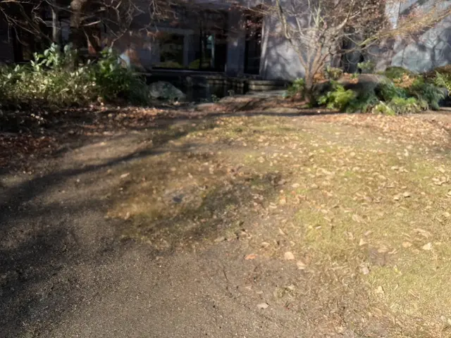 かなり綺麗にします！サービスの画像