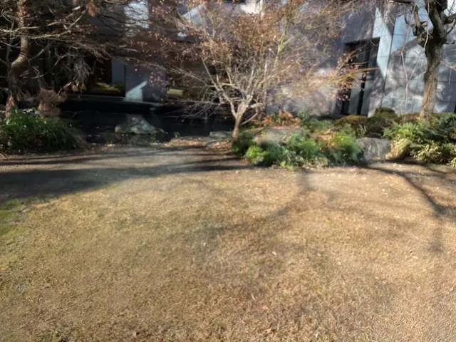かなり綺麗にします！サービスの画像