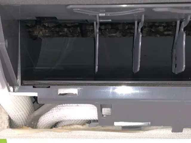 【健康を作るハウスクリーニング】綺麗好き店長が清潔な環境を守ります！サービスの画像